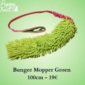 Moppie bungee chaser (groen/rose)