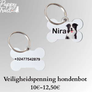 Pennings / ID tag