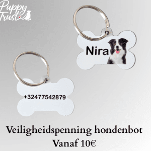 Veiligheidspenning hondenbot