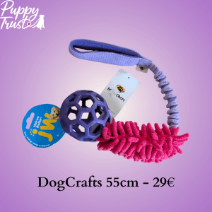 Tugtoy moppie + bal (I)