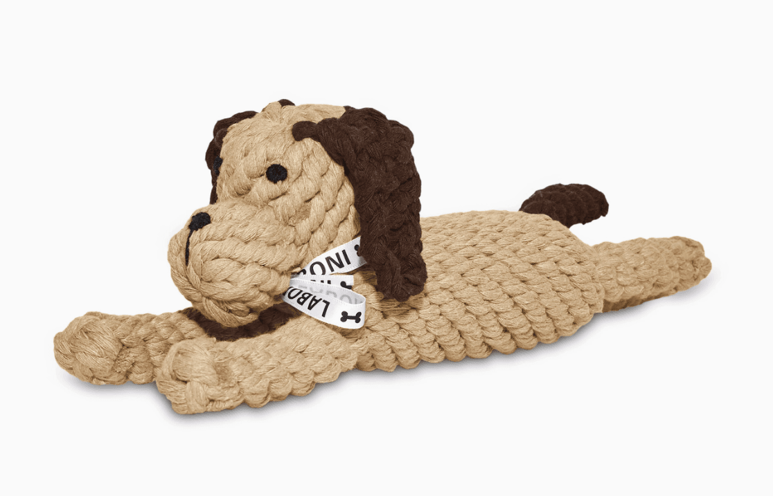 Doggy Dog