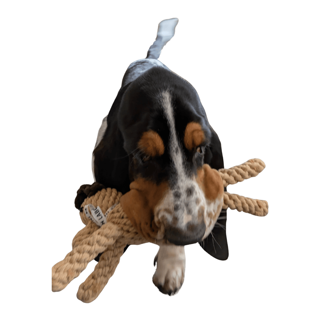 Doggy Dog - Afbeelding 3