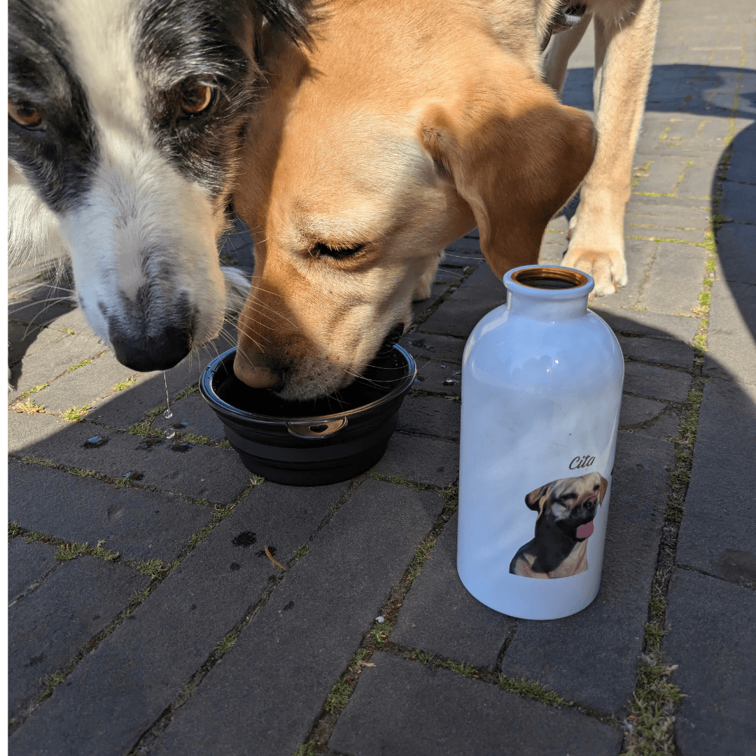 Drinkfles (400ml) en inklapbare kom (350ml) - Afbeelding 2