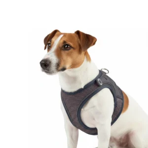 Max & Molly Air Vest Dog Harness - Matrix 2.0