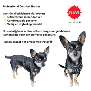 Wolters Professional Comfort
